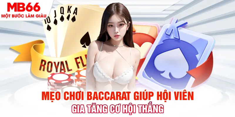 88fc đá gà 88