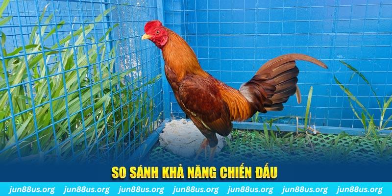 88fc xổ số tiền giang