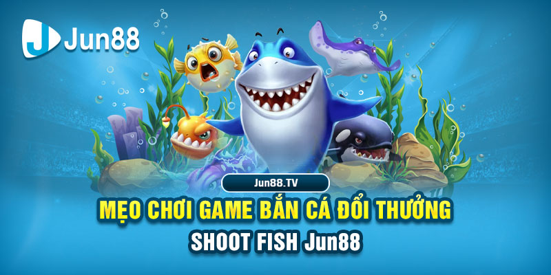 88fc tai game danh bai bigkool ve may tinh