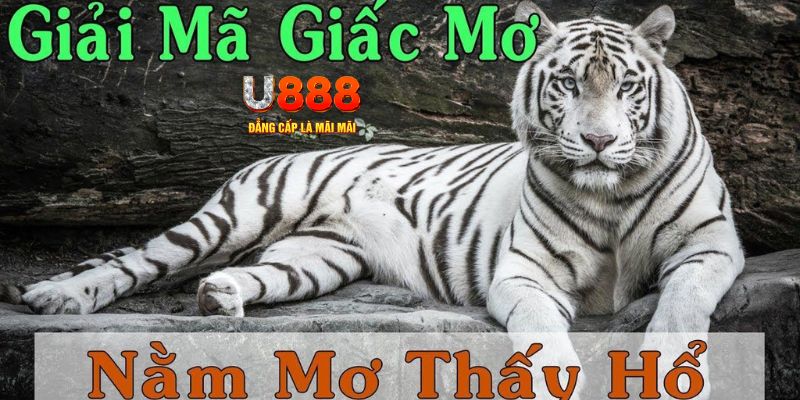 88fc xổ số kiến thiết miền bắc