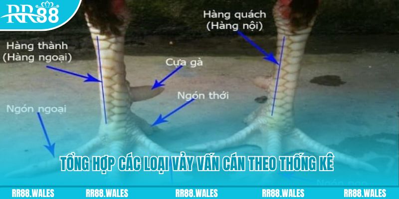 88fc nổ hũ chơi như thế nào