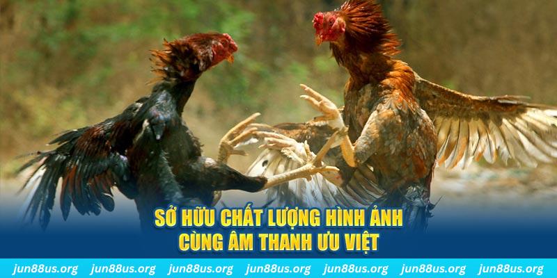 88fc tai game danh bai ve may tinh