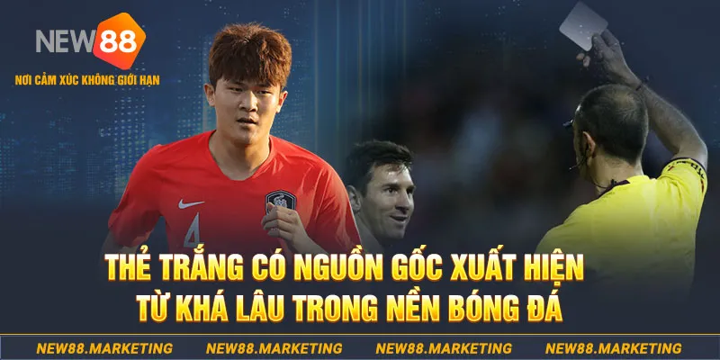 88fc EVO Trực Tuyến