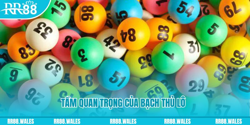 88fc đá gà trực tiếp casino