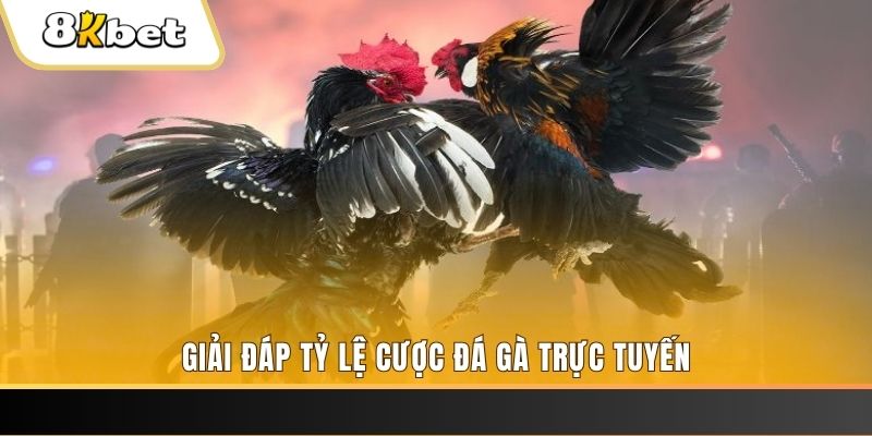 88fc xổ số ba đài
