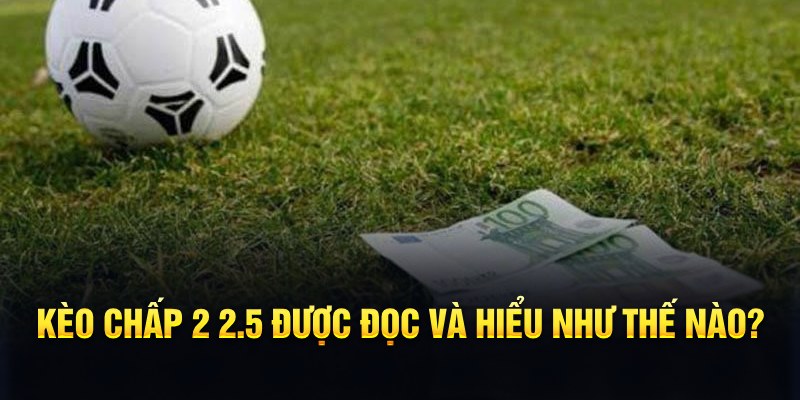 88fc đá gà thomo
