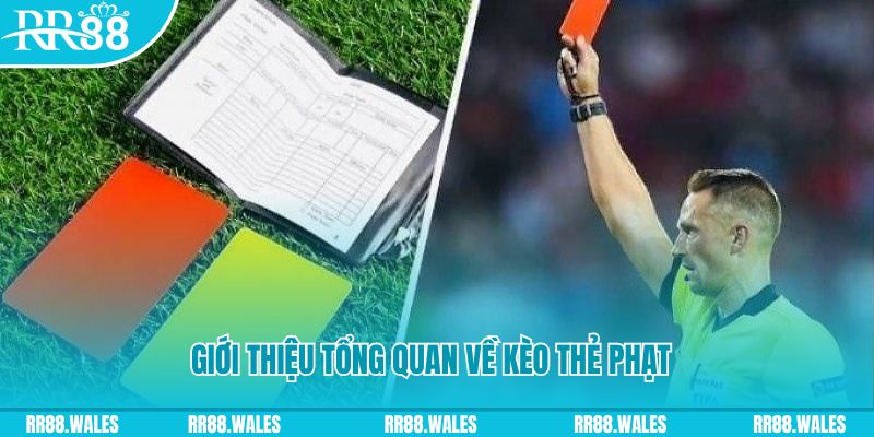 88fc sổ xô miên bắc