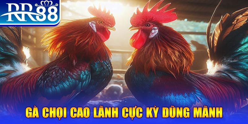 88fc natural” trong baccarat nghĩa là gì？